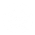 Logo 555